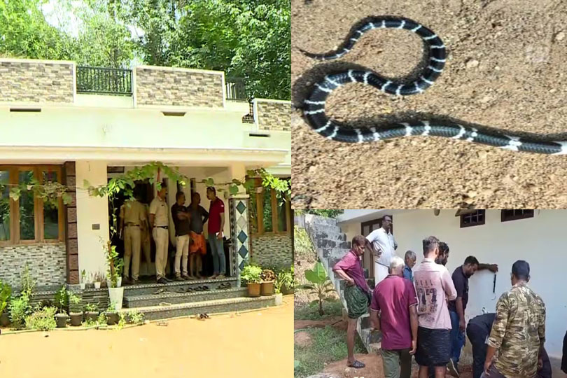 തൃശൂർ കോടാലിയില്‍ പാമ്പുകടിയേറ്റ സഹോദരങ്ങളുടെ വീടിന്റെ തറയുടെ ഒരു ഭാഗം പൊളിച്ച്‌ പരിശോധന 